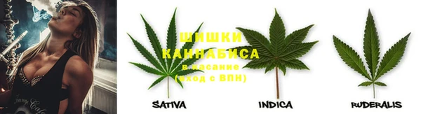 apvp Алексин