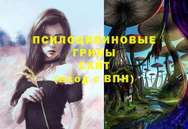 apvp Алексин