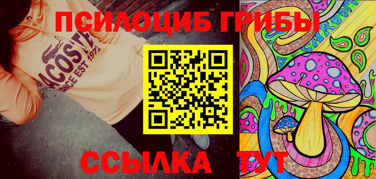 Алушта  Галлюциногенные грибы Cubensis  Вход с VPN 